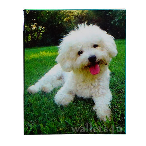 Magic Wallet, Dog, Poodle, White - MWAP0084